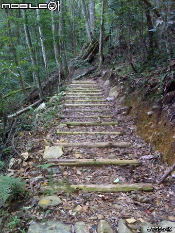 [分享]谷關七雄-八仙山