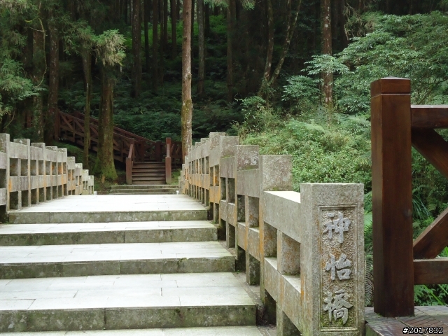 10/23-10/24阿里山之戀(龍銀山步道-祝山日出-對高岳步道)