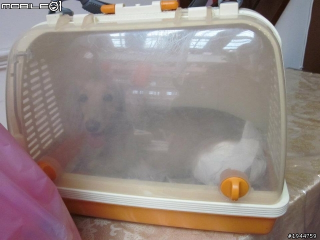 2011.10.16 獅寶寶百年全國大會師 (130張左右)