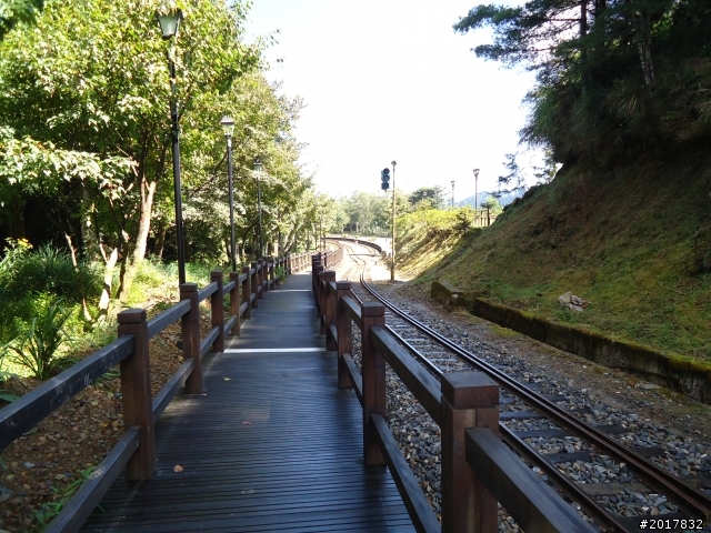 10/23-10/24阿里山之戀(龍銀山步道-祝山日出-對高岳步道)