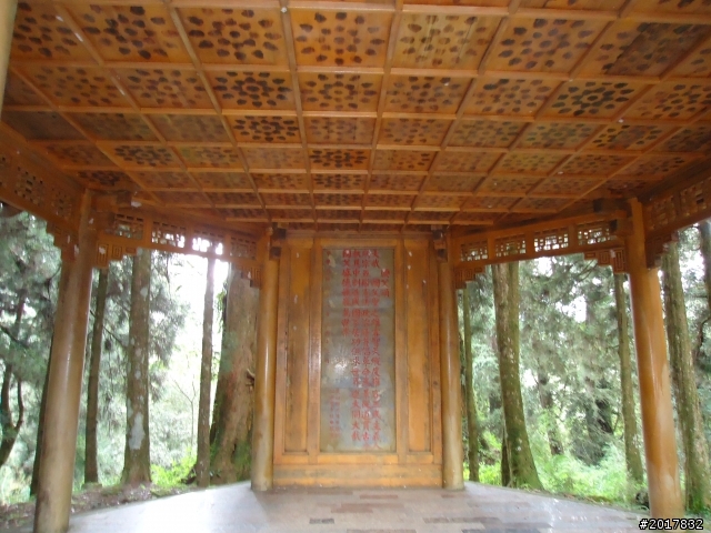 10/23-10/24阿里山之戀(龍銀山步道-祝山日出-對高岳步道)
