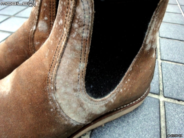 [恐怖慎入] 搶救 Redwing 發霉大作戰