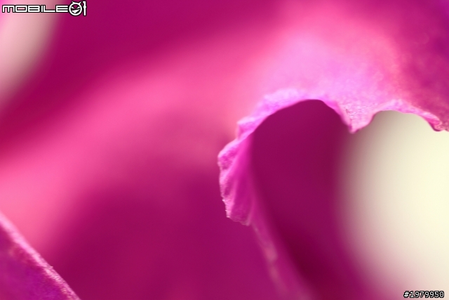 來吧 百微弟兄們挺身而出 蓋大樓喔