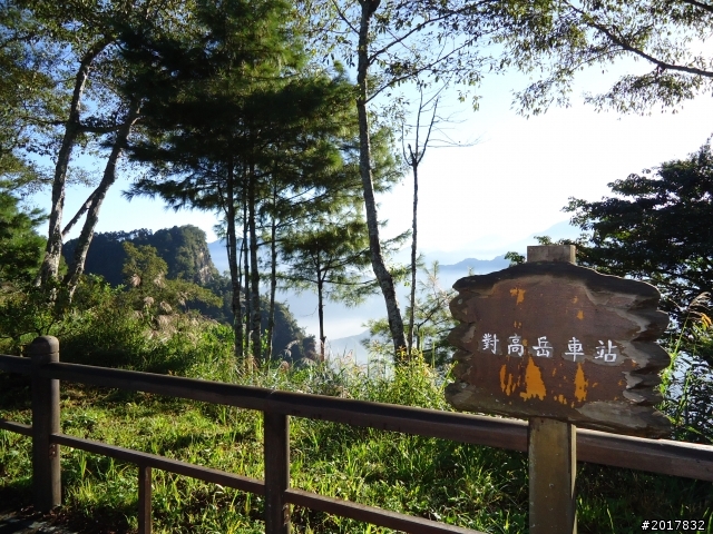 10/23-10/24阿里山之戀(龍銀山步道-祝山日出-對高岳步道)