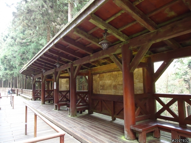 10/23-10/24阿里山之戀(龍銀山步道-祝山日出-對高岳步道)