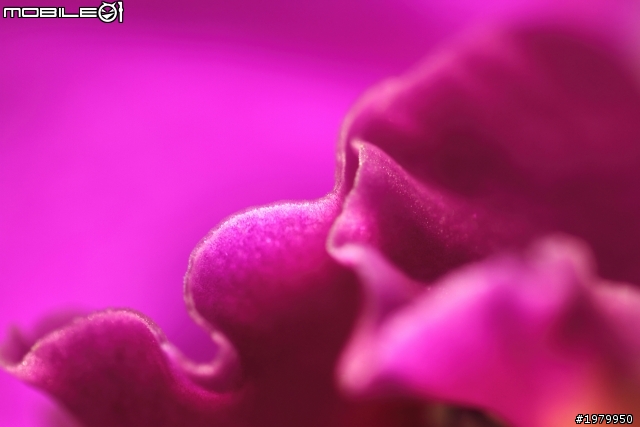 來吧 百微弟兄們挺身而出 蓋大樓喔