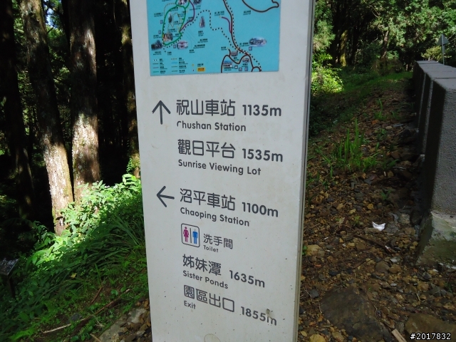 10/23-10/24阿里山之戀(龍銀山步道-祝山日出-對高岳步道)