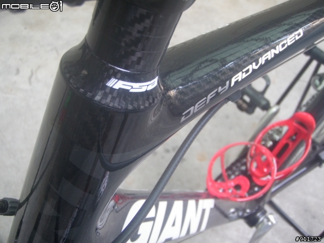 大尺寸俱樂部--我的 Giant Defy Advanced 3外銷版 L號