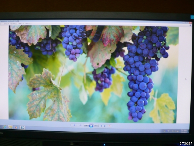 EIZO FORIS FS2332簡單開箱