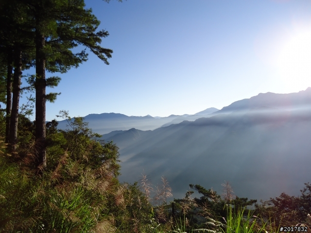 10/23-10/24阿里山之戀(龍銀山步道-祝山日出-對高岳步道)