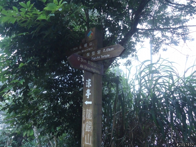 10/23-10/24阿里山之戀(龍銀山步道-祝山日出-對高岳步道)