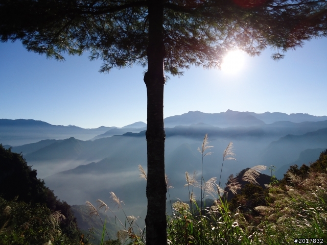 10/23-10/24阿里山之戀(龍銀山步道-祝山日出-對高岳步道)