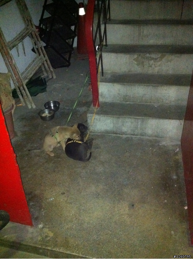 鄰居把住戶共有空地當成自己家~該怎麼處理