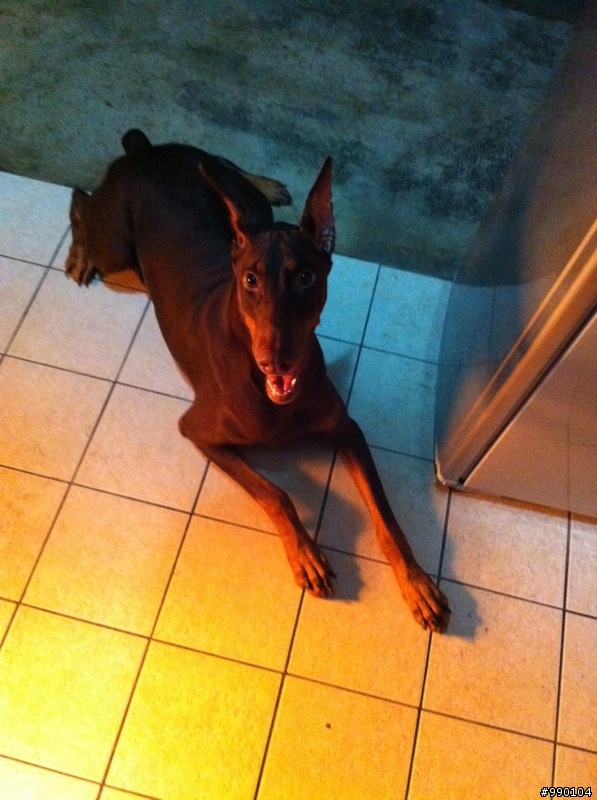 小Nora~現在已經是個大女孩拉~~(圖多)