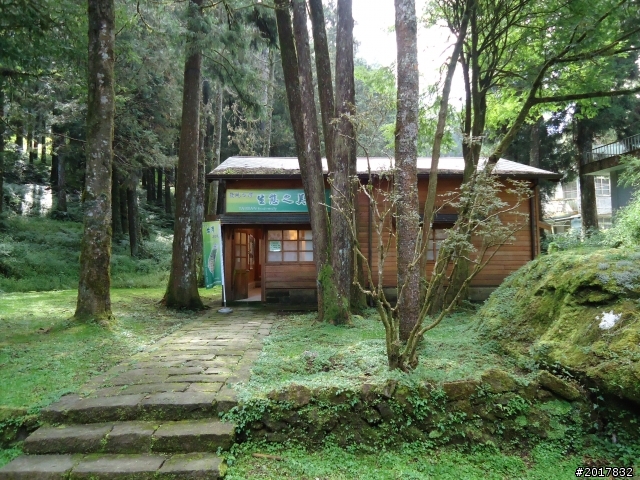 10/23-10/24阿里山之戀(龍銀山步道-祝山日出-對高岳步道)