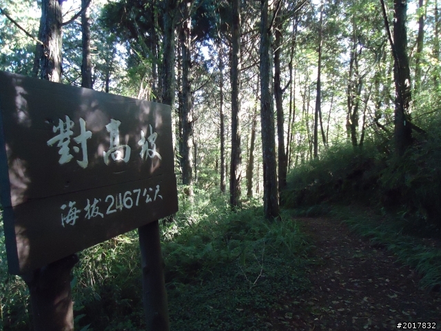 10/23-10/24阿里山之戀(龍銀山步道-祝山日出-對高岳步道)