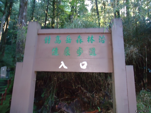 10/23-10/24阿里山之戀(龍銀山步道-祝山日出-對高岳步道)