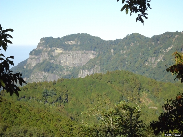 10/23-10/24阿里山之戀(龍銀山步道-祝山日出-對高岳步道)