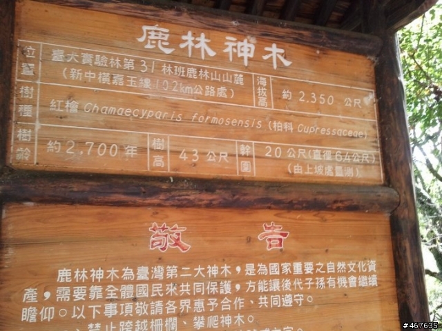 2011-10-01 塔塔加之旅