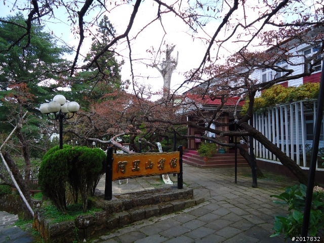 10/23-10/24阿里山之戀(龍銀山步道-祝山日出-對高岳步道)