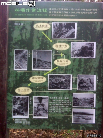 [分享]谷關七雄-八仙山