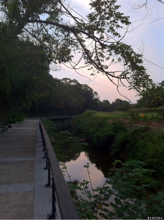 頭寮生態步道