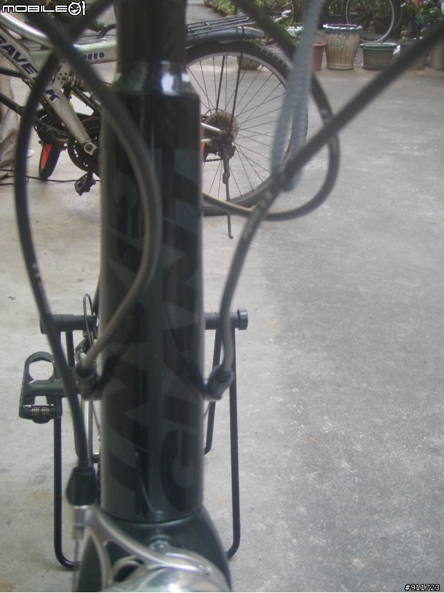 大尺寸俱樂部--我的 Giant Defy Advanced 3外銷版 L號