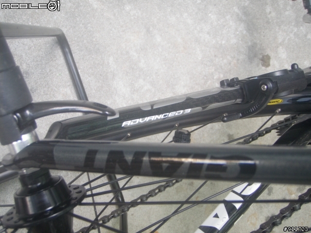 大尺寸俱樂部--我的 Giant Defy Advanced 3外銷版 L號