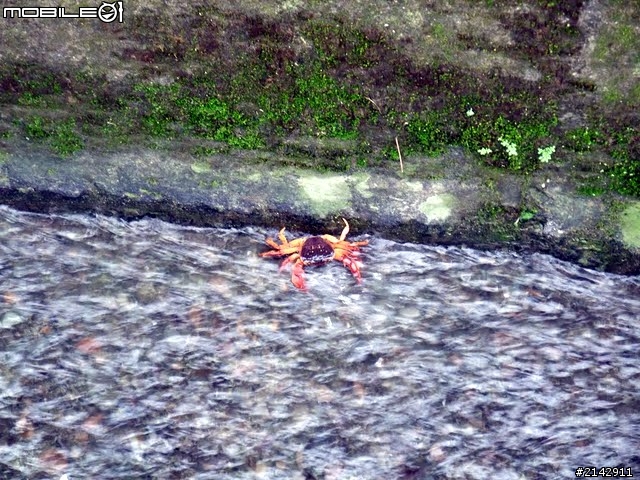 2011 年 Garmin 和 Mobile01 西拉雅 100K 自行車之旅