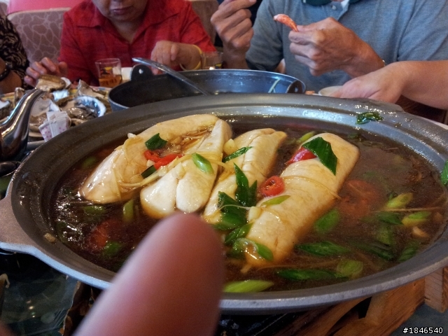 我的蔣大日記