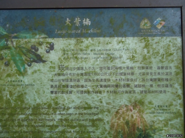 11/3南瀛之旅(東山孚佑宮崁頭山)