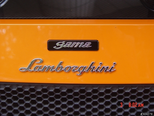 一群蠻牛加一匹馬