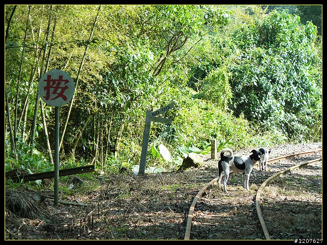 2011.11.13_獨客獨行再續鐵道情！(一、梨園寮站)