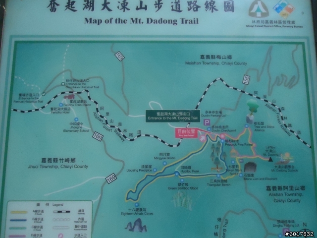 11/6阿里山之戀(登奮起湖大凍山及隙頂二延平步道)