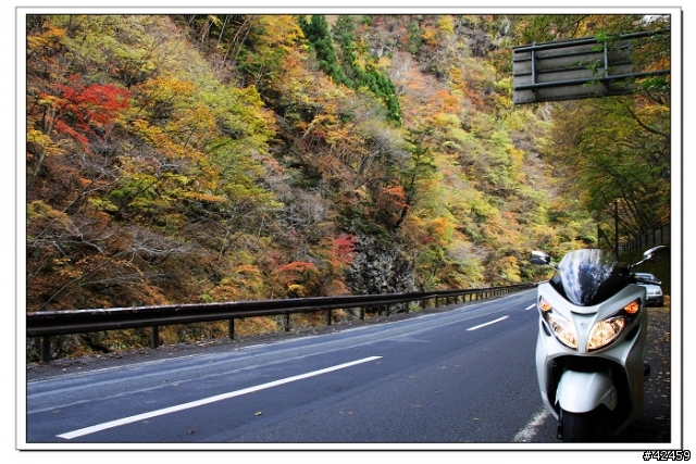 [SKYWAVE TYPE-S]奥秩父中津峡紅葉之旅