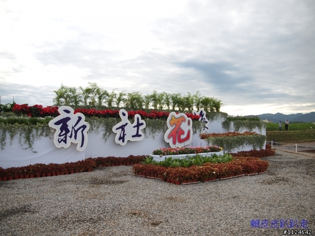2011年新社花海開始了