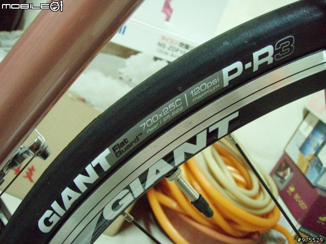 2012 GIANT FRAIS 玫瑰金 數張照片分享