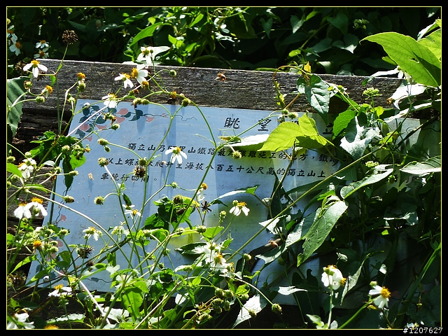 2011.11.13_獨客獨行再續鐵道情！(一、梨園寮站)