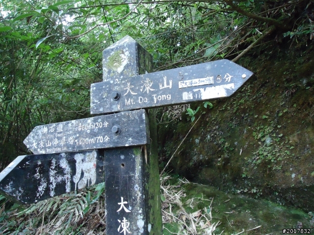 11/6阿里山之戀(登奮起湖大凍山及隙頂二延平步道)