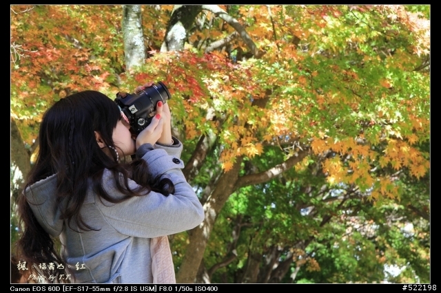 分享：2011-11-24 福壽山楓紅