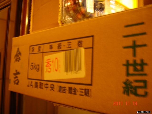 比拳頭大的鳥取梨
