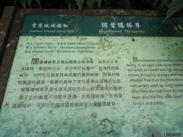 11/3南瀛之旅(東山孚佑宮崁頭山)