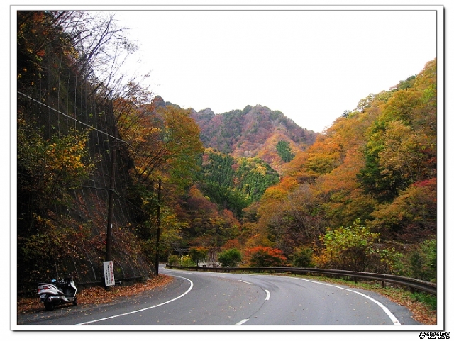 [SKYWAVE TYPE-S]奥秩父中津峡紅葉之旅