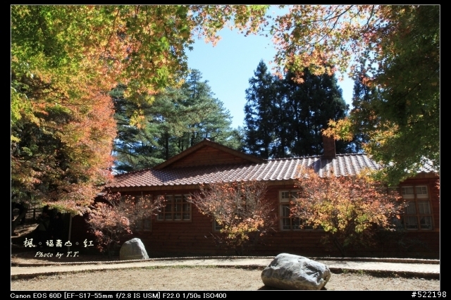 分享：2011-11-24 福壽山楓紅