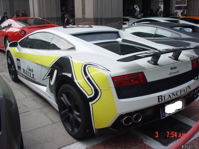 一群蠻牛加一匹馬