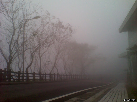 中興新村--鳳凰谷鳥園-我的pr值是多少?