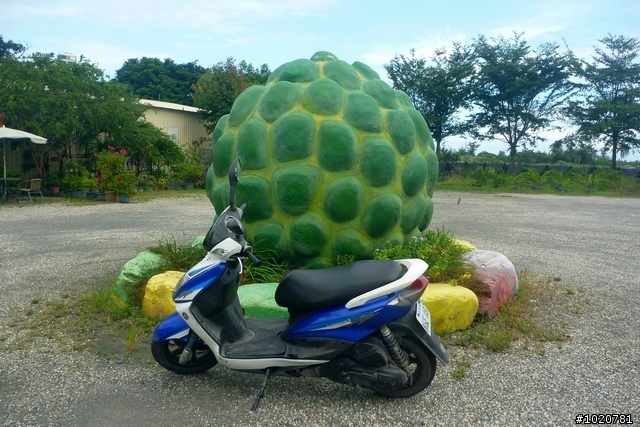 2011/11/12-15 圓夢計劃繞島行 Day 2 花蓮→屏東