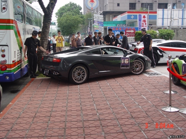 一群蠻牛加一匹馬