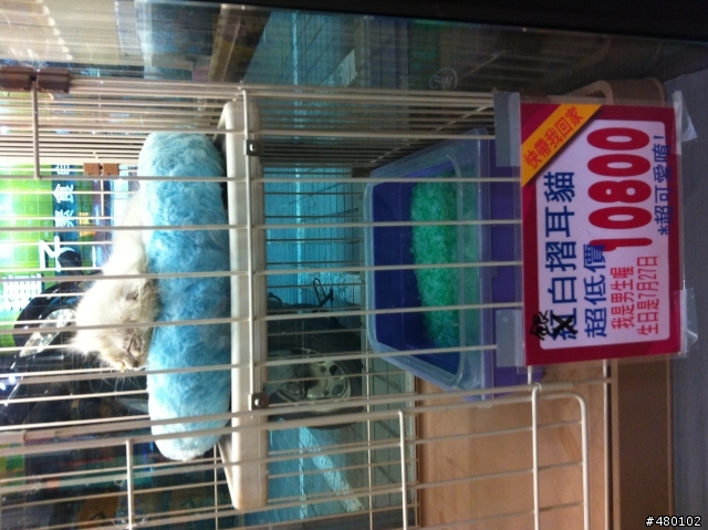 這樣的寵物店~我以後絕對不會再去消費了
