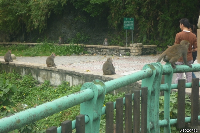 2011/11/12-15 圓夢計劃繞島行 Day 2 花蓮→屏東